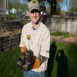 Greenville, MI removed raccoons from chimney